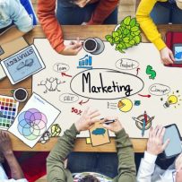 What’s New In Social: Video Ad Performance, Algorithm Updates, Live Streaming