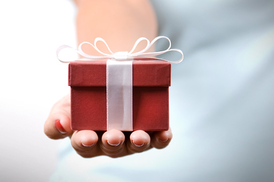 img_gift_holiday_540x360