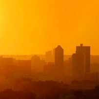 BMO: Alberta economy ‘well above’ the rest of Canada, leads all provinces in growth