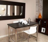 Forces Driving Renters to Consider Micro Apartments