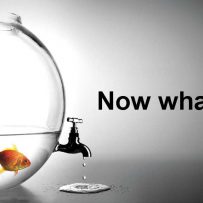 Minimizing Risk: Building a Brand