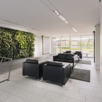 Ferguslea introduces Cobalt at Accora Village