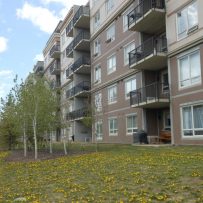 Long-Term Affordable Housing Strategy Update
