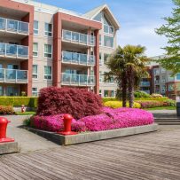 4 Ways to Get the Most out of Colorful Summer Landscapes