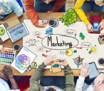 What’s New In Social: Video Ad Performance, Algorithm Updates, Live Streaming