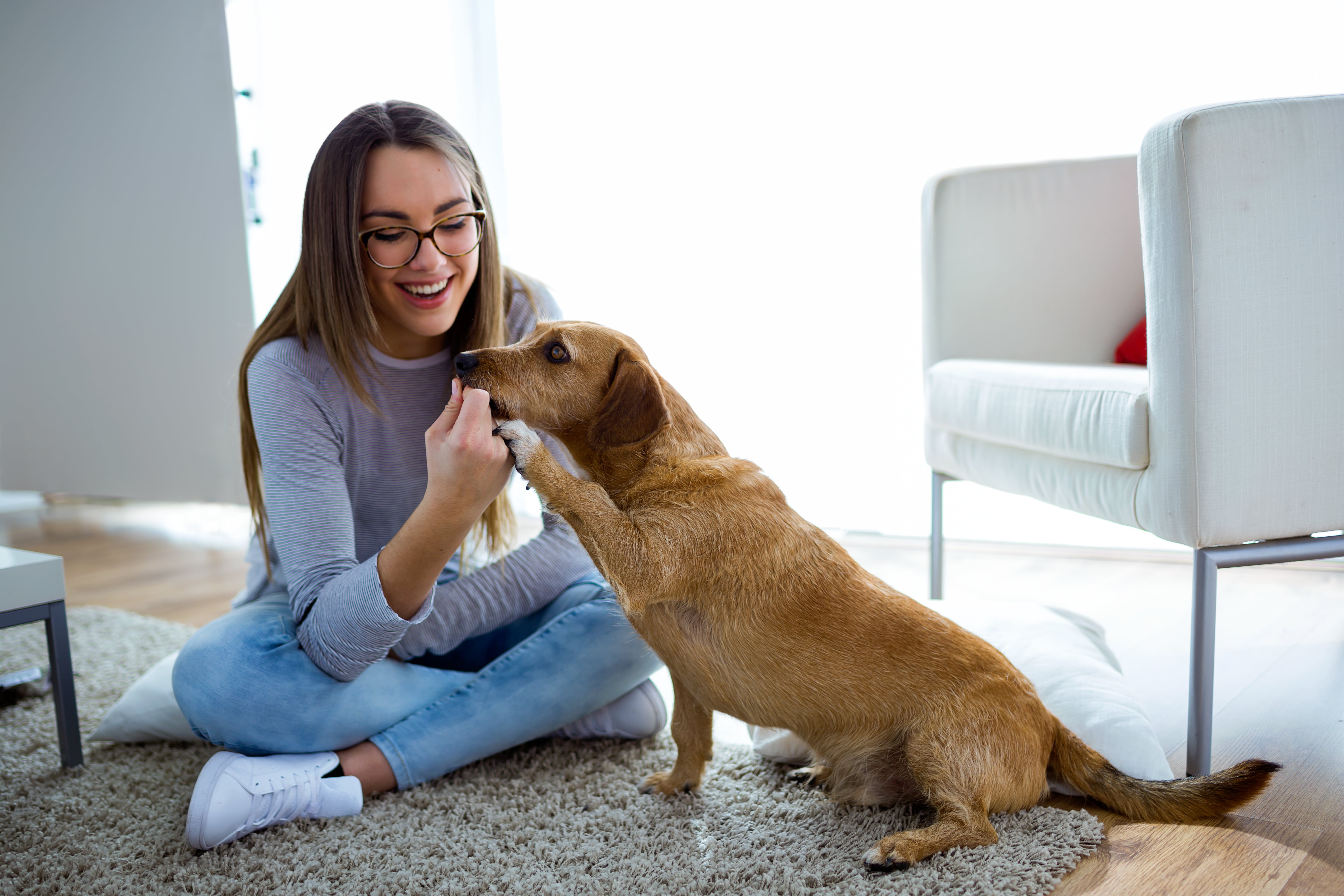 pet-friendly-multifamily-communities-3