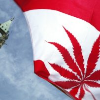 5 things to know about Ottawa’s new cannabis legislation