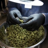 Ontario to open up to 150 marijuana stores, separate from liquor sales