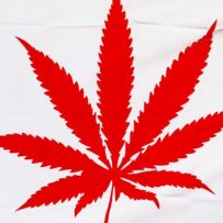 Marijuana legalization issues moving to the provinces