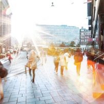 Census data sheds light on rental supply