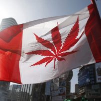 Cannabis ‘Gold Rush’ will boost retail in Canada, RioCan says