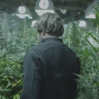 2017 Top Story: Cannabis capitalism booms in Canada