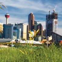 Alberta’s metropolitan markets reaping the fruits of economic recovery