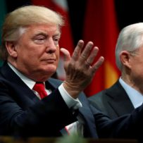 Trump Administration Sends Canadian Cannabis Stocks Plunging