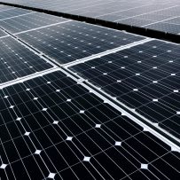 Canada Pension Sells $1.2 Billion Green Bond in Global First