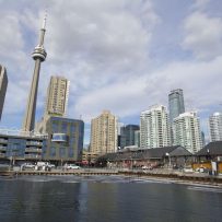 Toronto’s rental frenzy spurs highrise dog park, fleet of Teslas