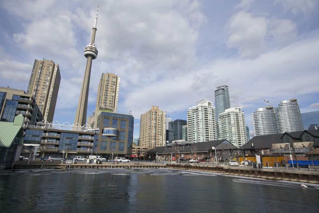 Toronto’s rental frenzy spurs highrise dog park, fleet of Teslas