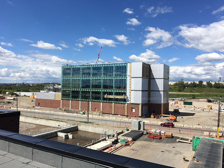 Calgary: To Build or Renovate?