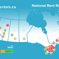Rental Insights Report