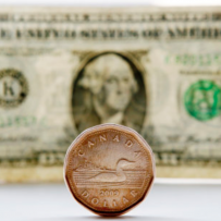 Canadian Dollar Hits 19-Month Low Despite Good News On The Economy