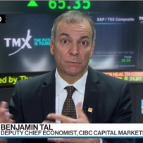 Lower rates giving Canadian housing ‘nine lives’: CIBC’s Tal