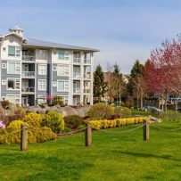 Calgary housing demand focused on apartments, multi-unit homes