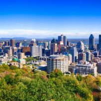 Montreal housing activity impelled by particular demographics – study
