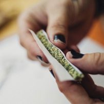 Canadian landlords increasingly concerned about effect of cannabis use on rental property