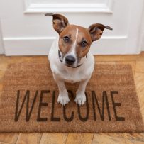 SIX STEPS TO PROTECT YOUR MULTIFAMILY ASSETS FROM PET LIABILITY