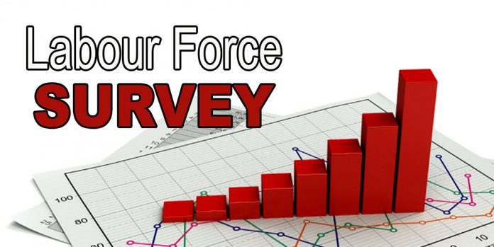 LABOUR FORCE SURVEY, JUNE 2020