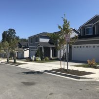WALL STREET’S NEW SUBURBAN SUBDIVISION IS FULL OF RENTERS