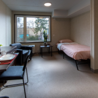 TORONTO OPENS MODULAR, AFFORDABLE HOUSING FOR PEOPLE LACKING HOMES