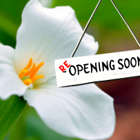 ONTARIO MOVING TO STEP TWO OF ROADMAP TO REOPEN ON JUNE 30