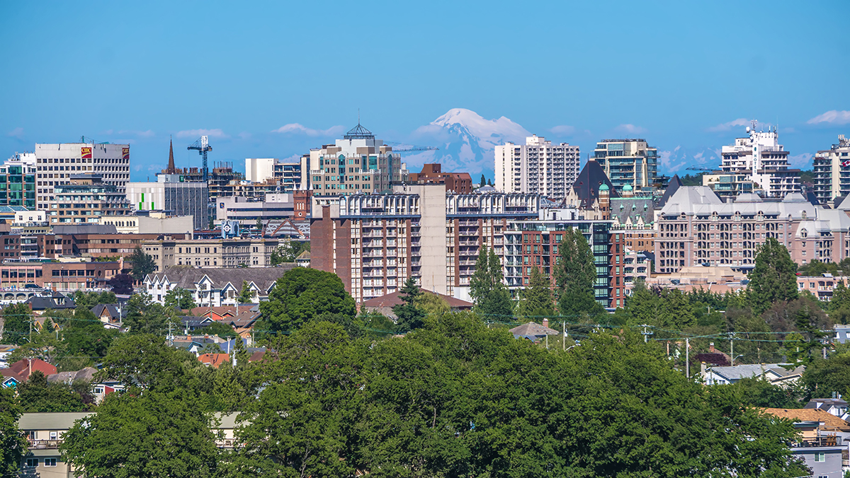 LOCAL LANDLORDS SWALLOWED AS MARKET DEMANDS DEEPER POCKETS
