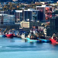 DESPITE HOUSING CRUNCH, ALMOST 20 PER CENT OF ST. JOHN’S UNITS ARE EMPTY