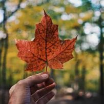 CANADA’S IMMIGRATION PROBLEM: NOT ENOUGH HOMES FOR NEWCOMERS