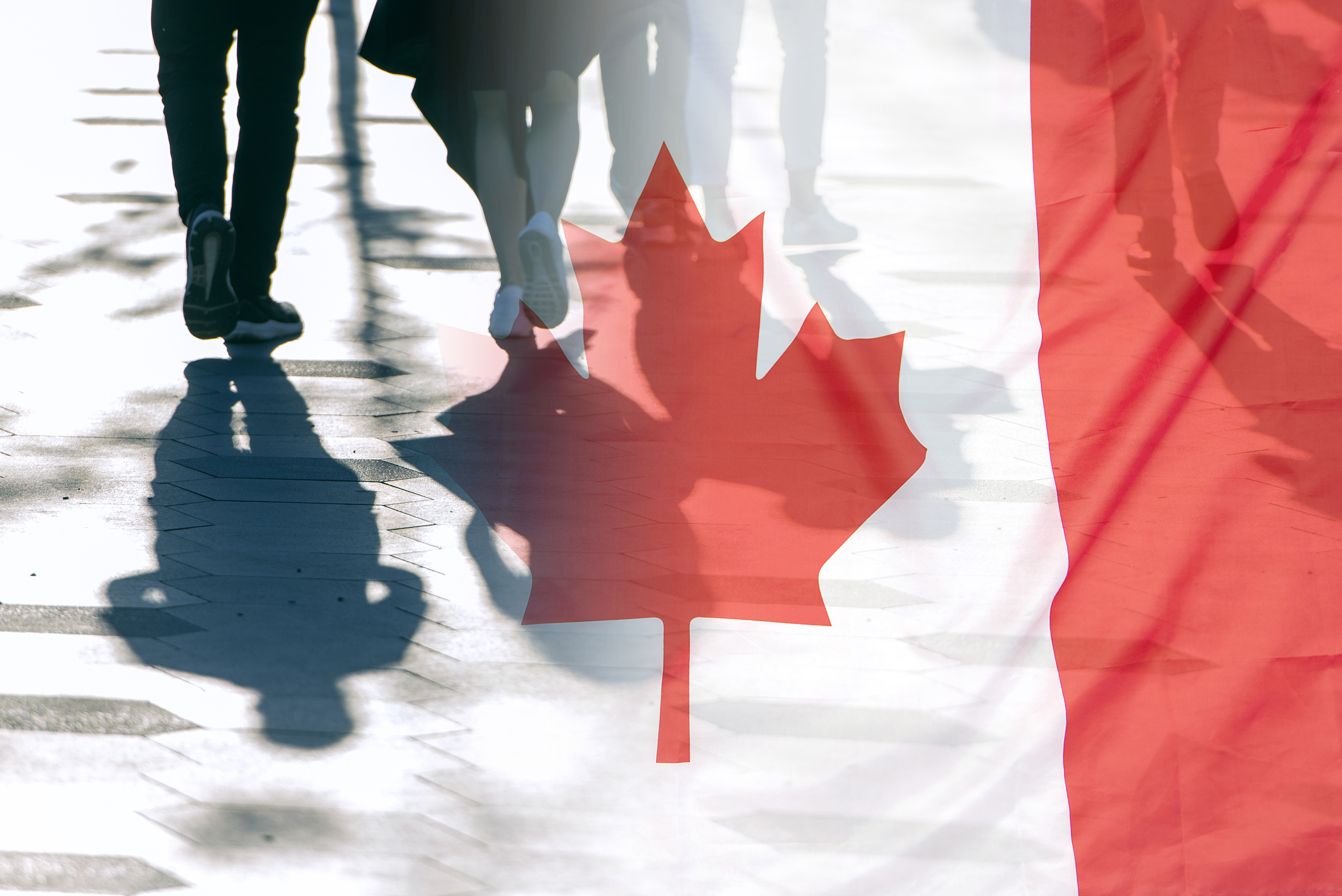 NEWCOMERS TO CANADA STRUGGLE WITH RENTAL HOUSING CRISIS