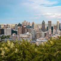 ‘SELL US YOUR RESIDENTIAL BUILDINGS’, MONTREAL TELLS PROPERTY OWNERS