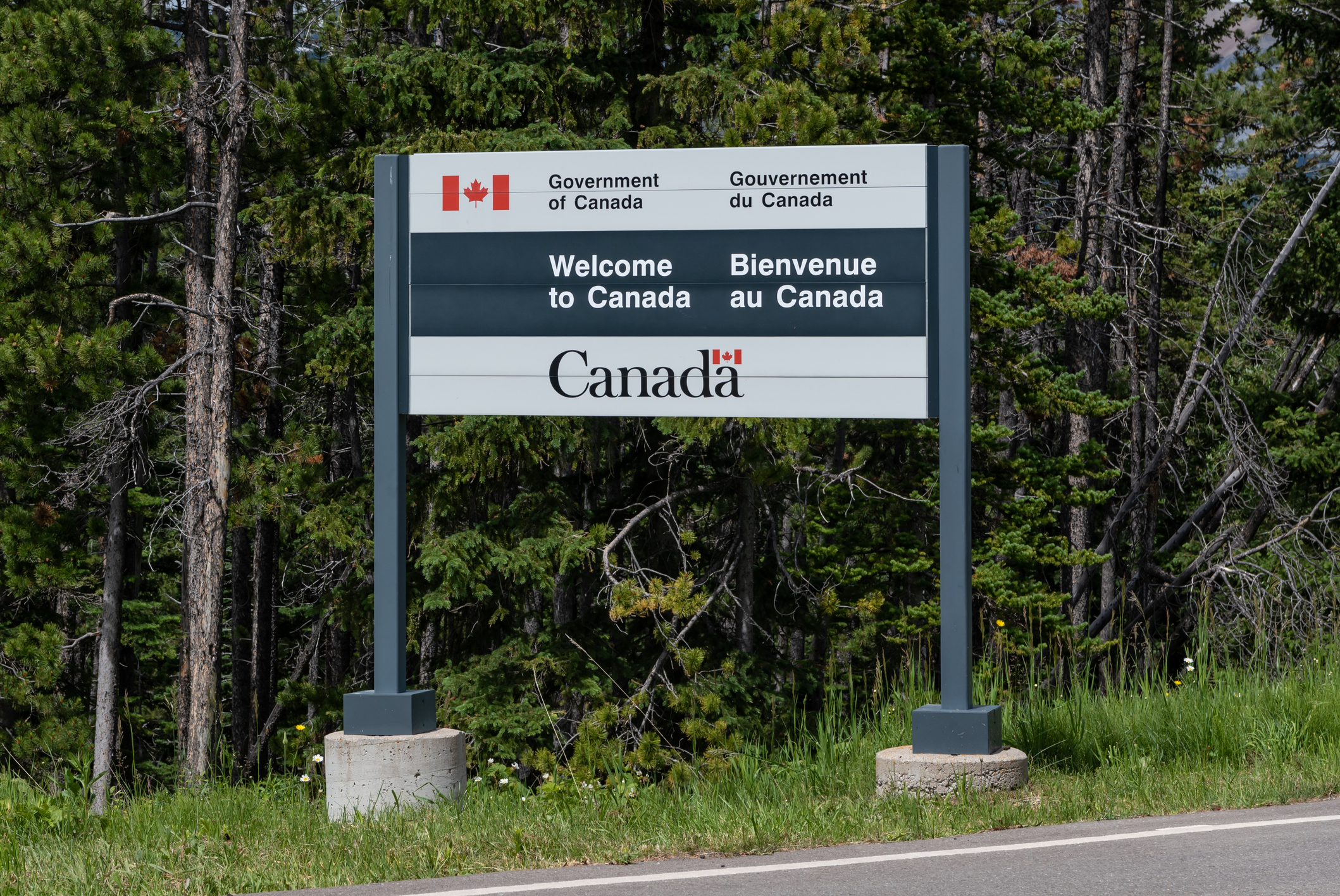 CANADA HAS NO PLANS TO DECREASE IMMIGRATION AMID HOUSING CRITICISM, NEW MINISTER SAYS