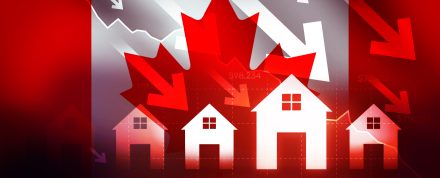 November 24, 2025 Daily News with Vanessa Topple