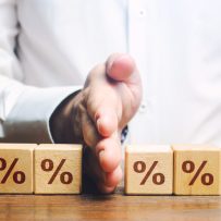 November 13, 2025 Daily News with Vanessa Topple