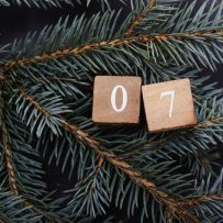 December 25, 2025 Daily News with Vanessa Topple and Jillian Katzenback