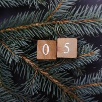 December 29, 2025 Daily News with Vanessa Topple and Jillian Katzenback