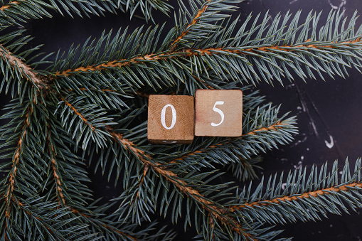 December 29, 2025 Daily News with Vanessa Topple and Jillian Katzenback