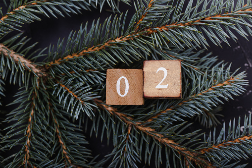 January 1, 2026 Daily News with Vanessa Topple and Jillian Katzenback