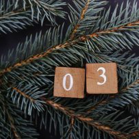 December 31, 2025 Daily News with Vanessa Topple and Jillian Katzenback