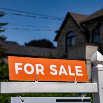 December 5, 2025 Daily News with Vanessa Topple