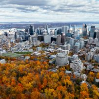 Despite Montreal’s shortage of rental housing, developers struggle to fill units in new buildings